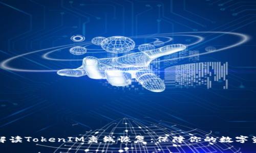 全方位解读TokenIM离线恢复：保障你的数字资产安全