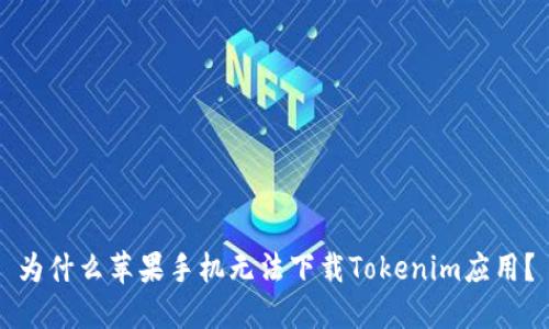 为什么苹果手机无法下载Tokenim应用？