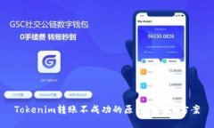 Tokenim转账不成功的原因及解决方案