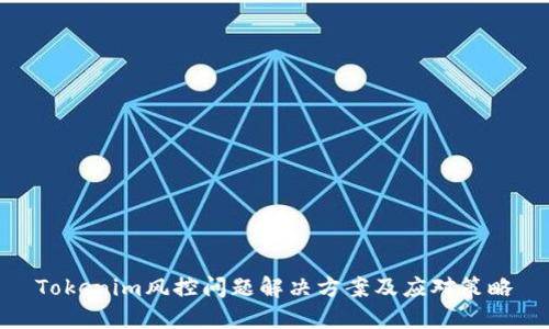 Tokenim风控问题解决方案及应对策略