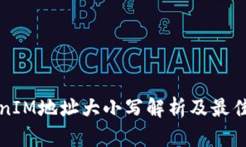 TokenIM地址大小写解析及最佳实践