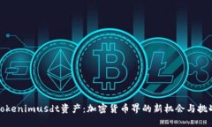 Tokenimusdt资产：加密货币界的新机会与挑战