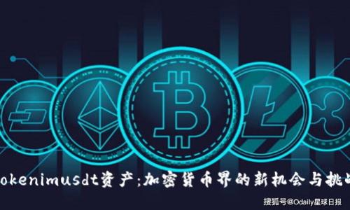 Tokenimusdt资产：加密货币界的新机会与挑战