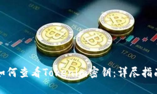 如何查看Tokenim密钥：详尽指南
