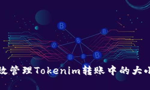 如何有效管理Tokenim转账中的大小写问题