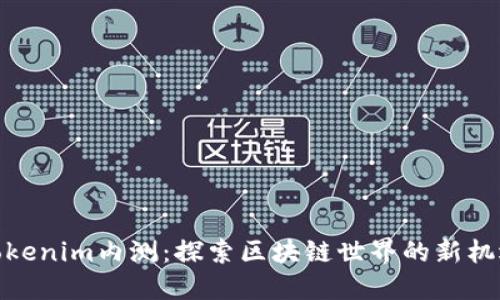 Tokenim内测：探索区块链世界的新机遇