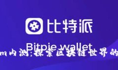 Tokenim内测：探索区块链世界的新机遇