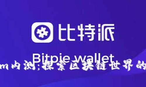 Tokenim内测：探索区块链世界的新机遇