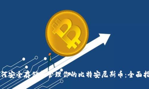 如何安全存储和管理你的比特安尼斯币：全面指南
