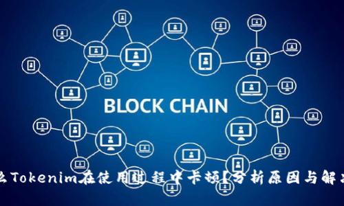 为什么Tokenim在使用过程中卡顿？分析原因与解决方案