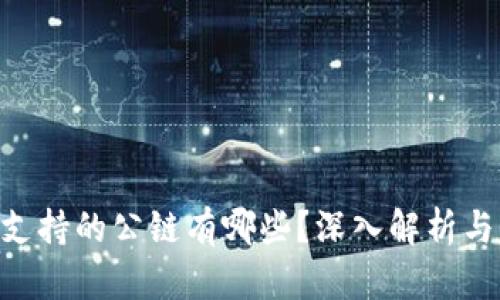 Tokenim支持的公链有哪些？深入解析与应用场景