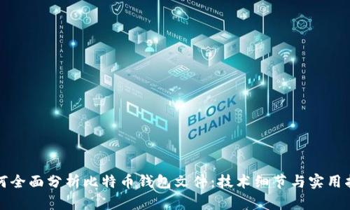 如何全面分析比特币钱包文件：技术细节与实用指南