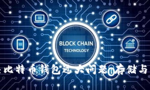 如何解决比特币钱包过大问题：存储与管理技巧