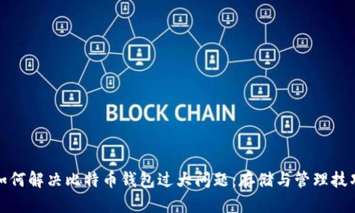 如何解决比特币钱包过大问题：存储与管理技巧