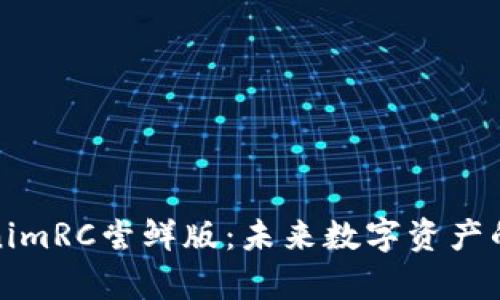探索TokenimRC尝鲜版：未来数字资产的开启之钥
