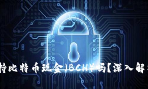 ### Tokenim平台支持比特币现金（BCH）吗？深入解析Tokenim与BCH的关系