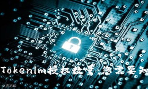 深入了解Tokenim授权数量：您需要知道的一切