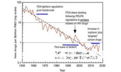 深入了解Tokenim授权数量：您需要知道的一切