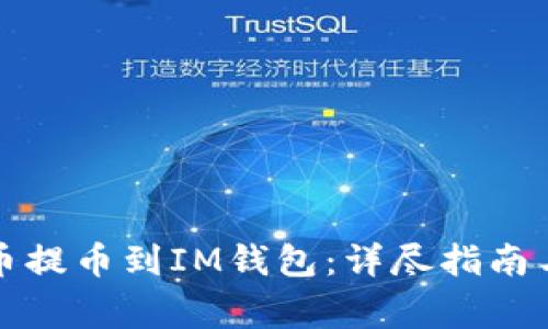 如何将数字货币提币到IM钱包：详尽指南与常见问题解答