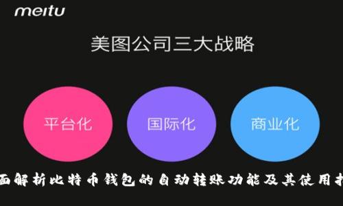 全面解析比特币钱包的自动转账功能及其使用指南