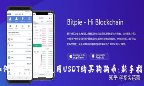 如何通过TP钱包使用USDT购买狗狗币：新手指南
