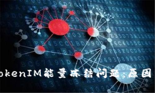 深入解析TokenIM能量冻结问题：原因与解决方案
