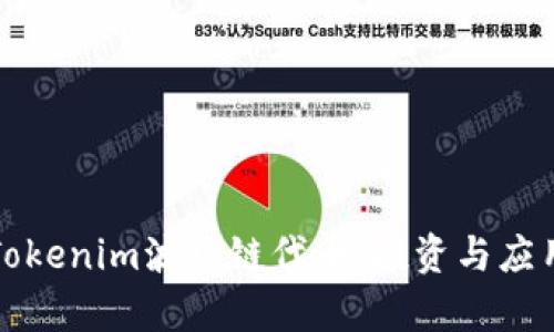 解析Tokenim波场链代币：投资与应用详解