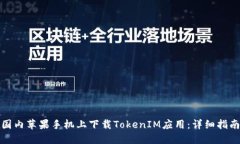 如何在国内苹果手机上下载TokenIM应用：详细指南
