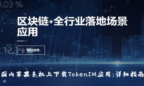 如何在国内苹果手机上下载TokenIM应用：详细指南与解答