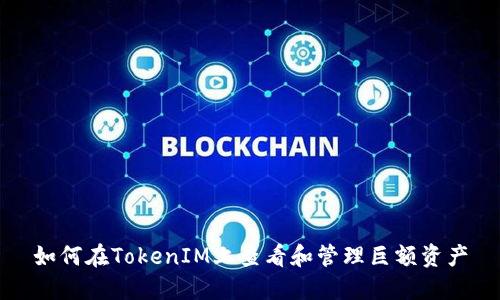 如何在TokenIM上查看和管理巨额资产
